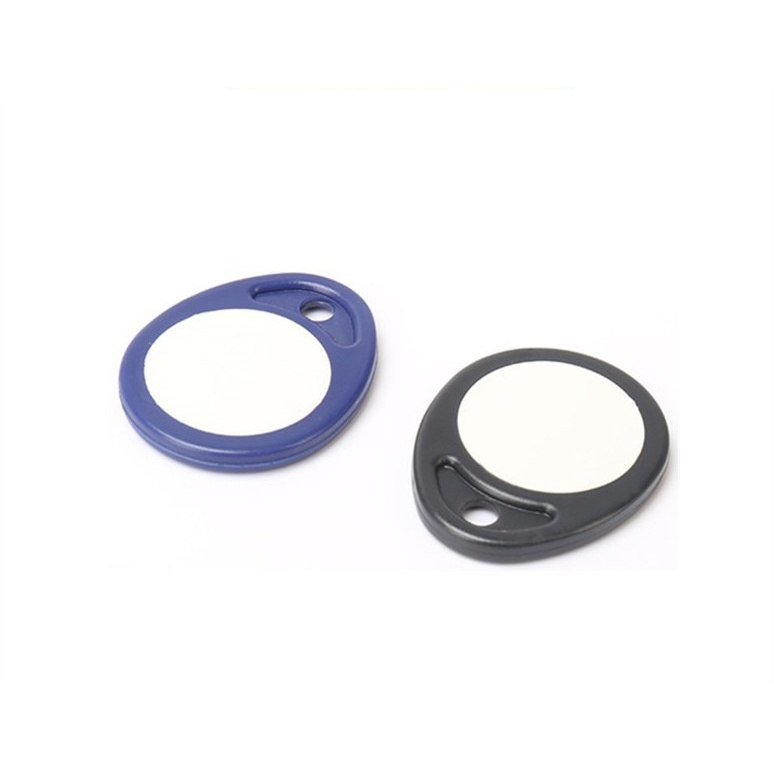 T5577 LF Copyable Keyfob — 125 kHz Community Access