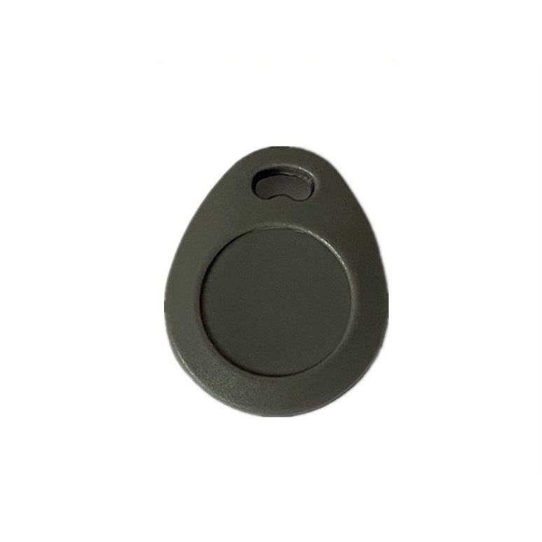 C168 Chip RFID Keyfob TK29 — Clearance Stock for Door Access
